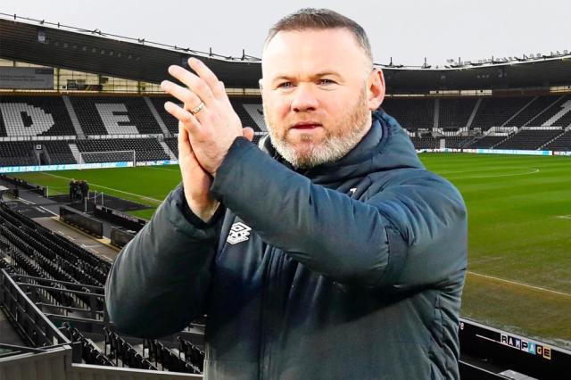 1656126699527087961.jpg 1656124443161.jpg